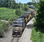 NS 9924